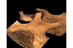 Viking-borst-plaat